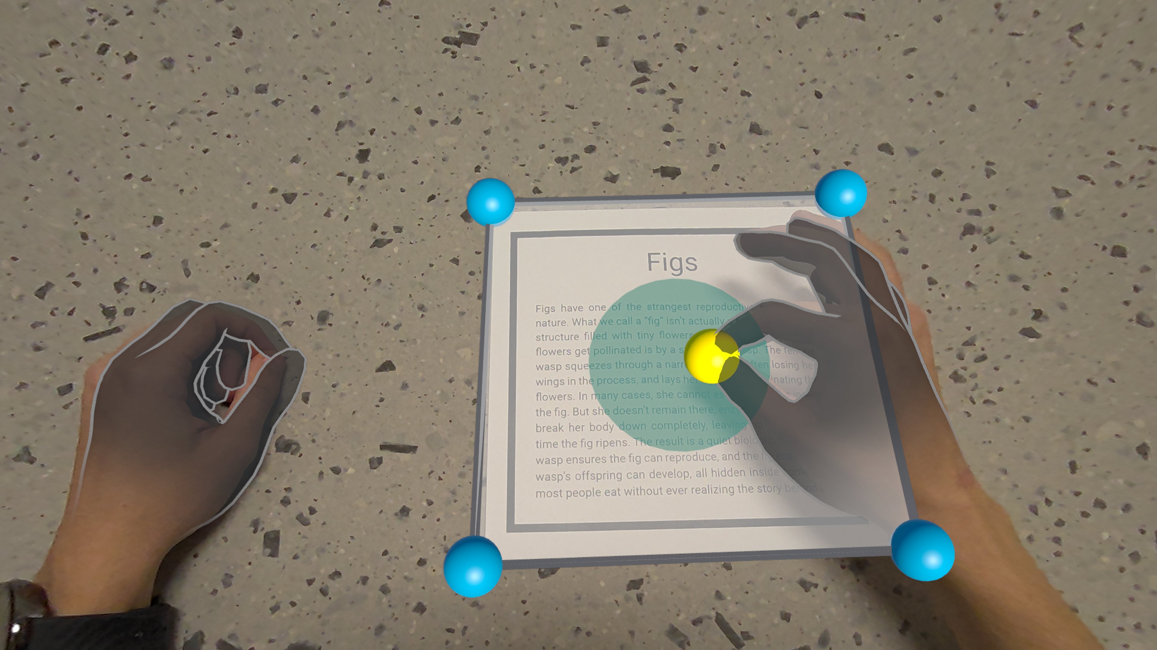 Application of Mixed Reality in Endoscopic Streaming during Skull Base Surgery